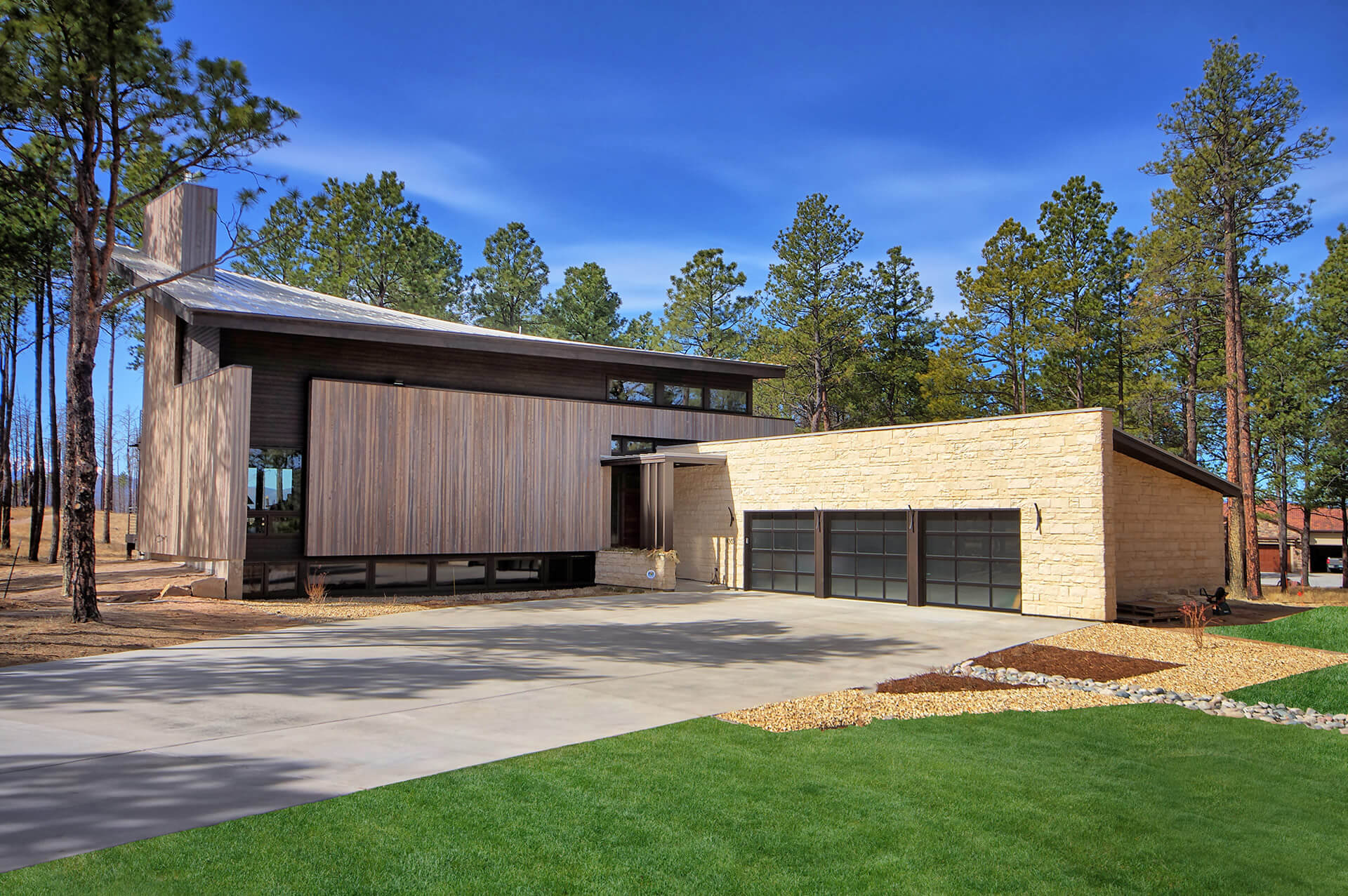 Contemporary Cathedral Pines